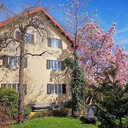3 Zimmer Apartment Salzburg Süd, Salzburg Stadt Umgebung, Ferienwohnung in Hallein, südlich von Salzburg und östlich von Berchtesgaden Exterior foto